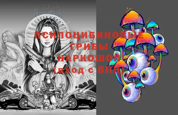 тгк Алексин