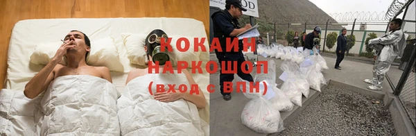 spice Алзамай