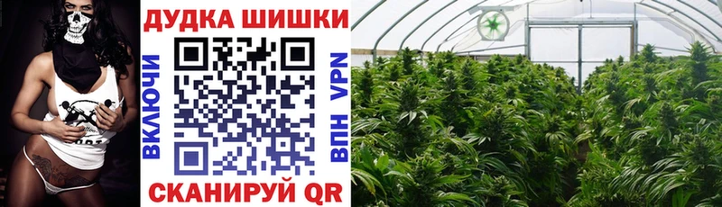 OMG онион  Кочубеевское  Каннабис Amnesia 